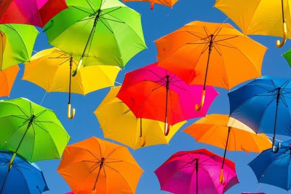 Secure Your Shipments with Shipleap's Package Insurance: Protecting Your Deliveries Every Step of the Way